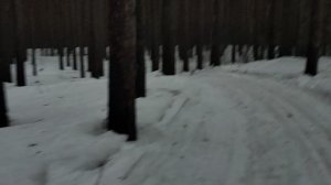 В лесу оттепель: переговоры в Женеве - Европа на задворках. Разрушение системы власти и контрнаступ