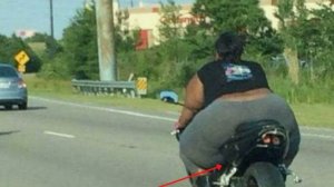 Лучшие Прикольные Видео Недели