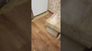 а Самар для сэндофферов чек