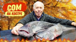 Забытые рецепты из сома: Так рыбу уже не готовят, а зря.