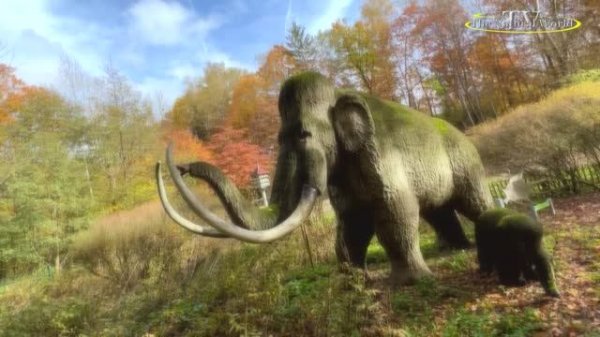 Мудрость 👮 Цитаты 🎥Tierpark am Röhrensee - Bayreuths lebendiger Süden 💐🍇🌹🌸🦋