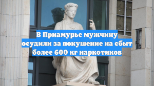 В Приамурье мужчину осудили за покушение на сбыт более 600 кг наркотиков