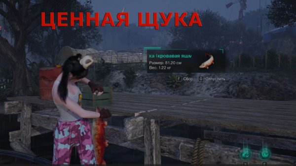 Рыбалка на реке ЦЕННАЯ ЩУКА Once Human