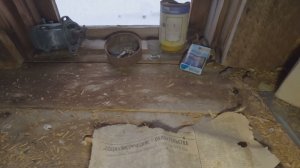 НАШЁЛ ЭТО В ГЛУБИНЕ КАРЕЛЬСКОЙ ТАЙГИ. И БЫЛ УДИВЛЁН НАХОДКОЙ.