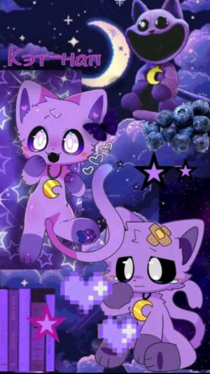 котик дремотик