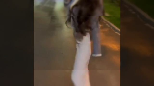 🥀цыганская песня🥀
⚜️ а ты как Жёлтый лист увянешь⚜️ смотреть онлайн