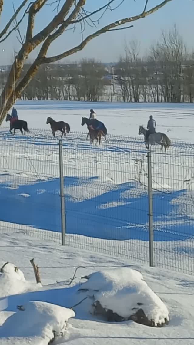 Санкт-Петербург красивые виды. Видовой участок под Питером.