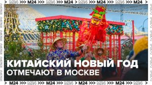 Иностранцы прилетели в Москву для празднования китайского Нового года - Москва 24