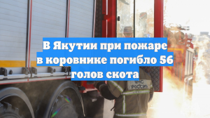 В Якутии при пожаре в коровнике погибло 56 голов скота