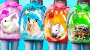 СТРОИМ СЕКРЕТНЫЕ ДОМИКИ ДЛЯ ЖИВОТНЫХ. ВЕСЕЛОЕ ВИДЕО ДЛЯ ДЕТЕЙ