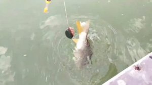 Рыбалку на удалёнке придумали в Казахстане.