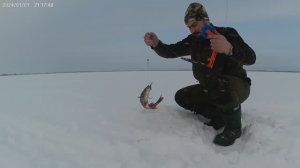 14.02.2026 Зимняя рыбалка оз. Лэвесенмтор (Лавас)