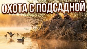 Весенняя охота с подсадной уткой #7