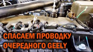 Geely Galaxy Starshine 8 - привет от грызунов! - Автотехцентр SoundSpeed