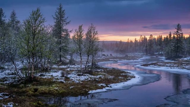 Алексей Мандельштам - Весна на севере (Жизнь на севере)