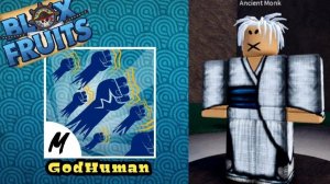 как получить год хуман в блокс фрутс