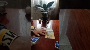 Таро.События для вас + подарок.