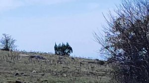 Малташская тропа