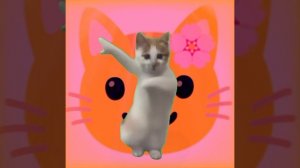 Эдит для Мы Котики 💖✔️