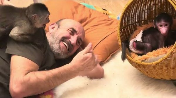 Потихоньку, потихонечку Финик привыкает что он не один любимчик у папы с мамой❤️