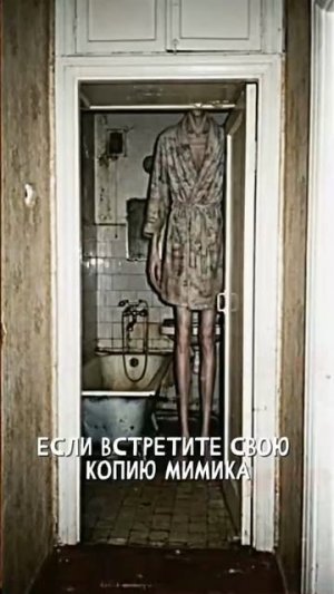 контур.