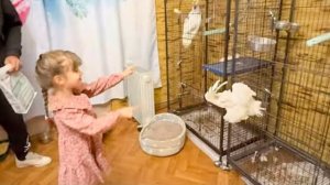 Ангелина первый раз увидела котят и попугая Киру, а Жорик тут же кинулся ЗАЩИЩАТЬ ПОДРУГУ)))