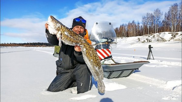 ЭТОТ МОНСТР ЕЛЕ ВЛЕЗ! КРУПНАЯ ПЛОТВА НА УДОЧКУ. НЕДЕЛЮ В ПАЛАТКЕ НА СЕВЕРЕ. Часть2. (Архив 2024)