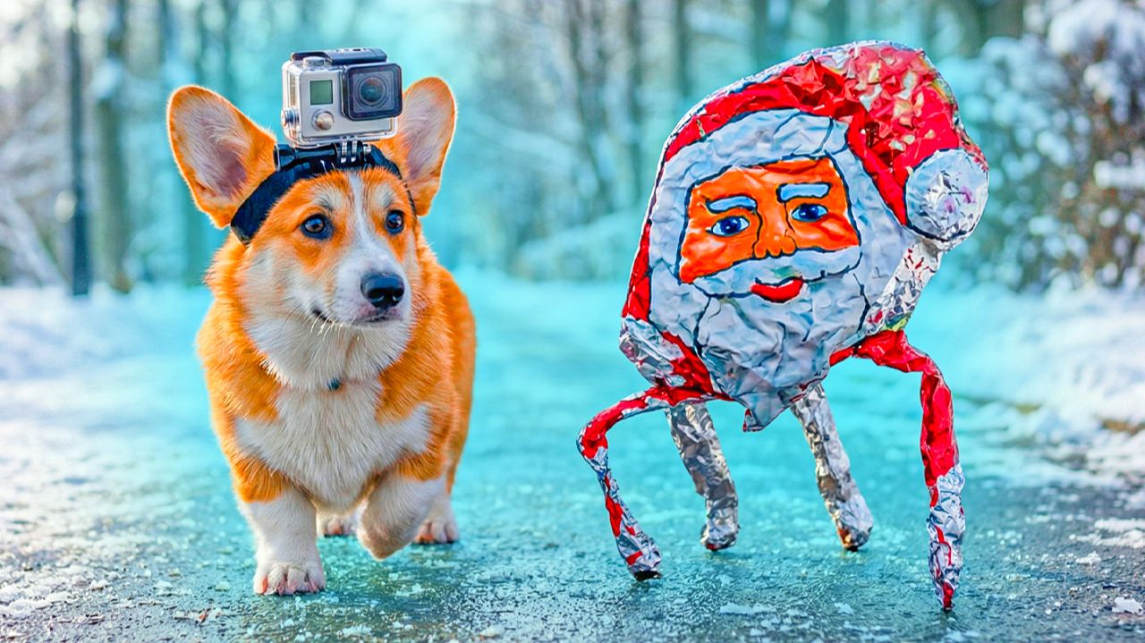 РЕАЛЬНЫЙ ДЕНЬ КОРГИ КОРЖИКА! ПРОГУЛКА с ГУГУ ГАГА!! смотреть онлайн