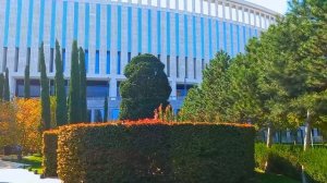 Краснодар парк Галицкого 2021