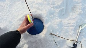 Рыбалка в минус 25 Охота за трофеем клюёт как из пулемёта, но трофея нет