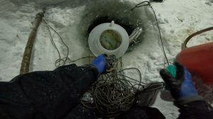 Перемет на налима | Проверка 17.02.2026