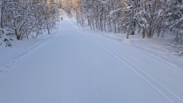 Гонка Уралхим Ski Factory 2026. 18 км. Сошел на 6 км после первого круга. Придется повторить