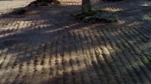 Мы живём вечно