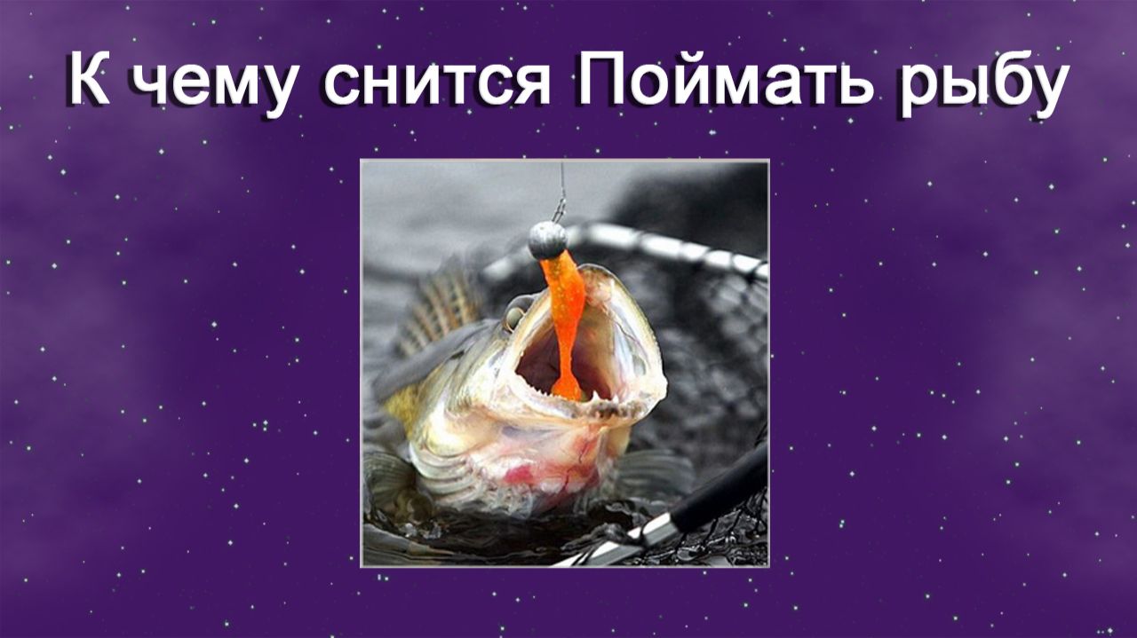 К чему снится Поймать рыбу - толкование сна смотреть онлайн
