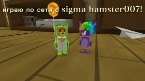 ИГРАЮ ПО СЕТИ С sigmahamster007!