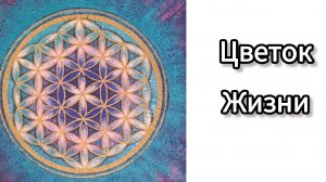 Сакральная Геометрия. Цветок жизни