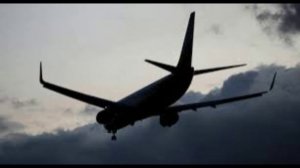 Трамп потребовал перекрасить президентский борт впервые за 60 лет