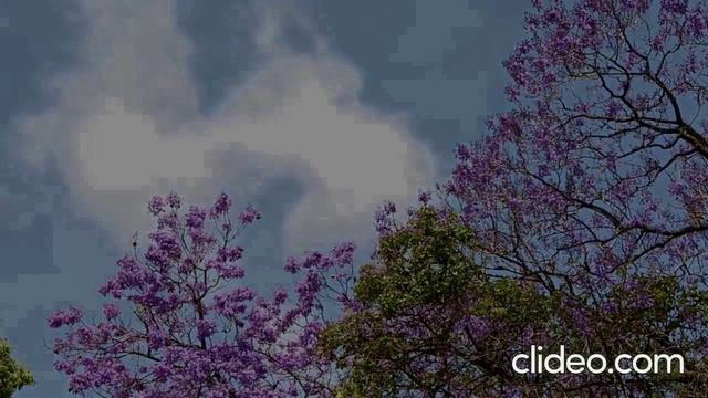 Артём Гельман - Скитания