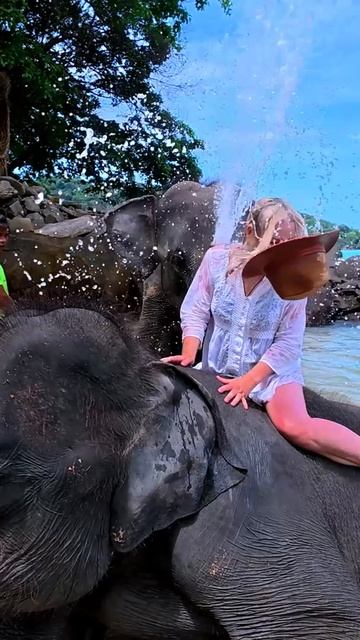 Когда слон решил пошутить