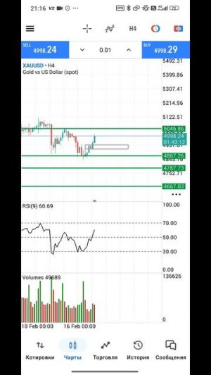 Золото Форекс на 19.02.2026