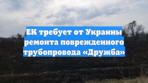 Sky News: Брюссель ждёт от Киева сроки ремонта «Дружбы»