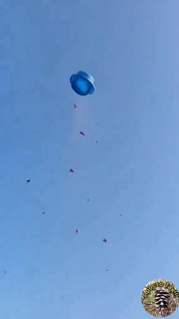 Улыбнись!!!😁👍
#улыбнись #котэ #котики #хорошего_дня смотреть онлайн