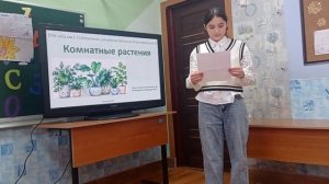 Саломатова Регина 4Н - Комнатные растения