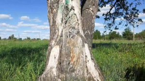 я бессмертный ЧАСТЬ 7