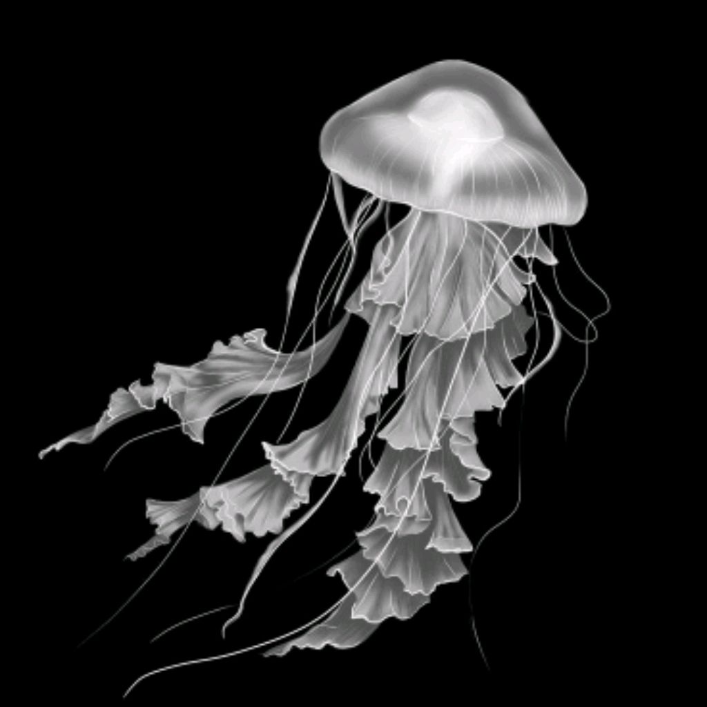 всем халока!