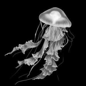 всем халока!