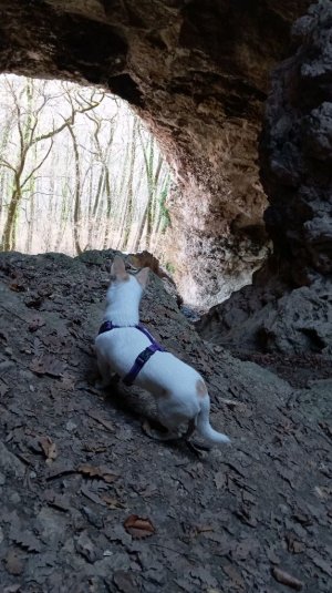 в посёлке у бабушки