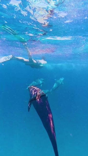 А вы готовы войти в открытую воду? #недвижимость #инвестиции А вы готовы войти в открытую воду? #недвижимость #инвестиции