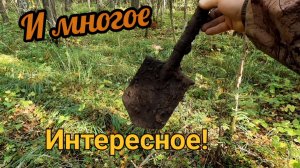 Лесная поляна полна находок! коп металлолома