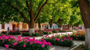 Город детства. Сквозь туман расстояний...